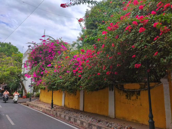 Streets of Pondicherry