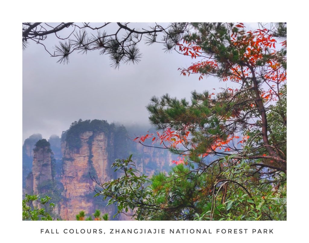 FALL COLOURS, ZHANGJIAJIE NATIONAL FOREST PARK